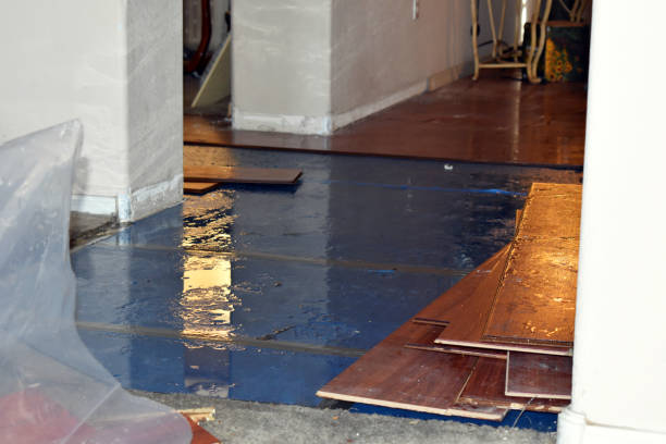 Professional Water Extraction technician working in South Bend, WA